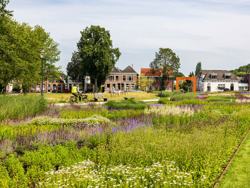 Kaasteelpark Coevorden Aug 2024 (50)