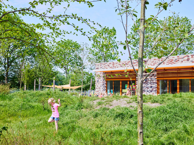 educatie en bewustwording