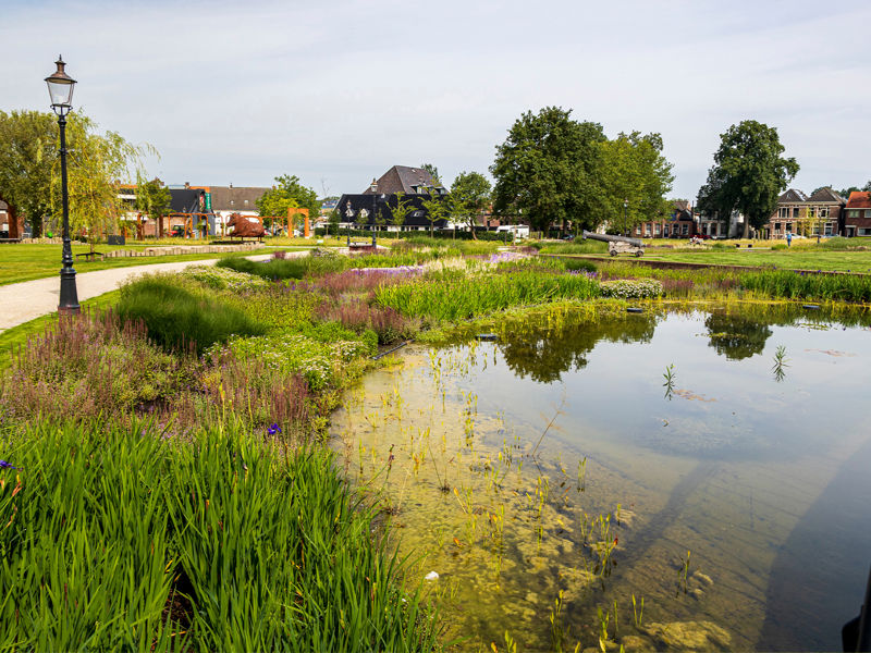 Kaasteelpark Coevorden Aug 2024 (18)